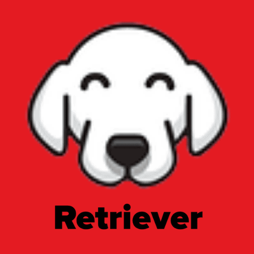 Lead Generation Agency Retriever.co Logo